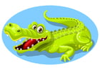 Image crocodile