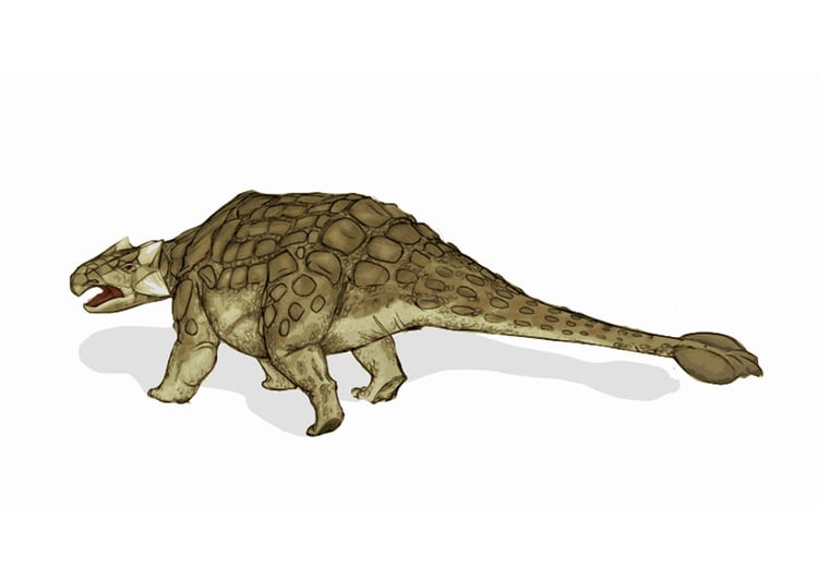Image dinosaure - ankylosaurus 2