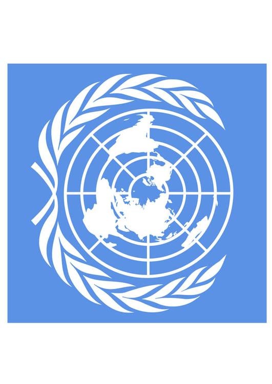 drapeau de l'Organisation des Nations Unies