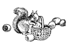 Coloriage écureuil