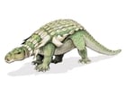 edmontonia