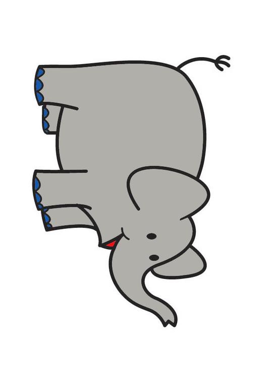 Ã©lÃ©phant