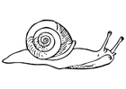 Coloriage escargot