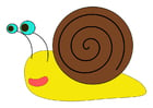 Images escargot