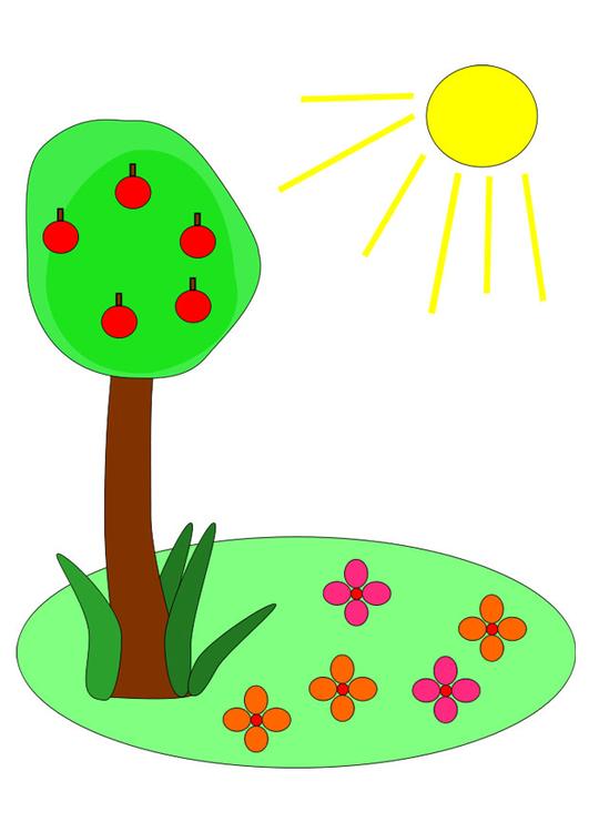 Ã©tÃ©