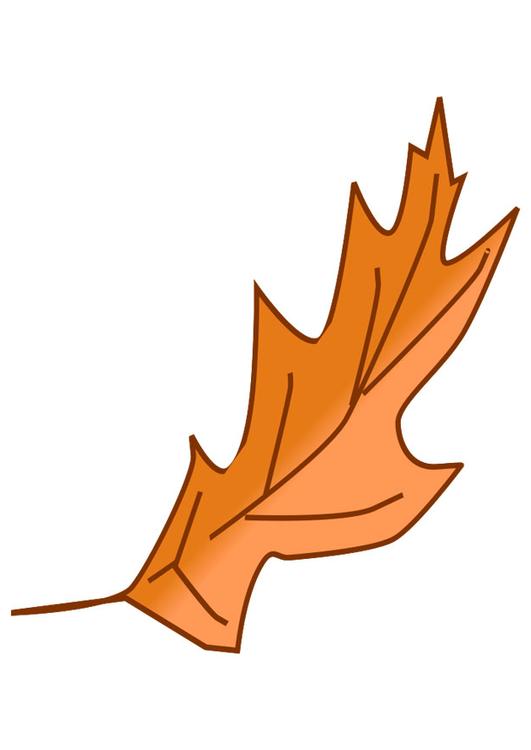 feuille d'automne 