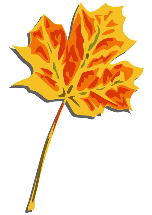 feuille d'automne 