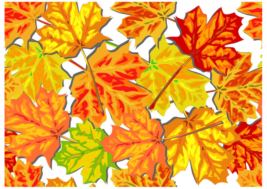 Image feuilles d'automne