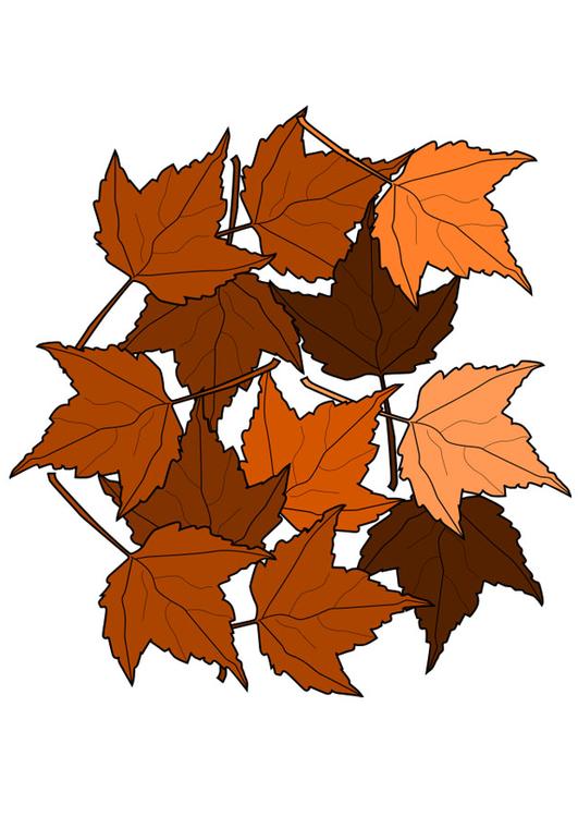feuilles d'automne