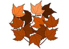 Images feuilles d'automne