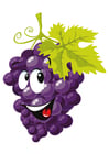 Image fruit - raisins
