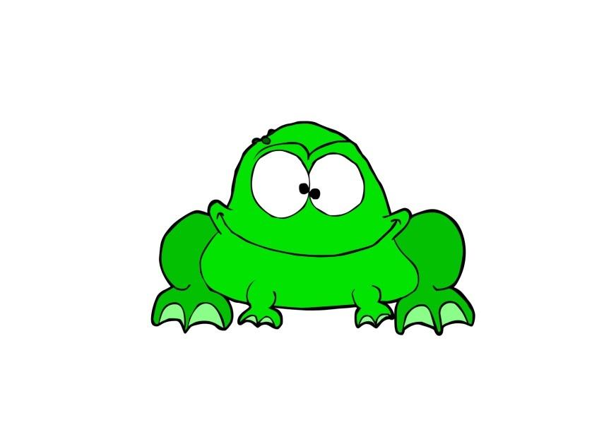 Image grenouille