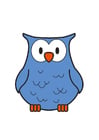 Image hibou