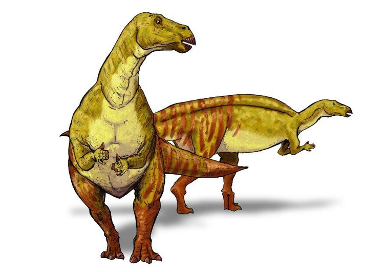 Image iguanodont