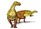 Images iguanodont