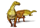 iguanodont