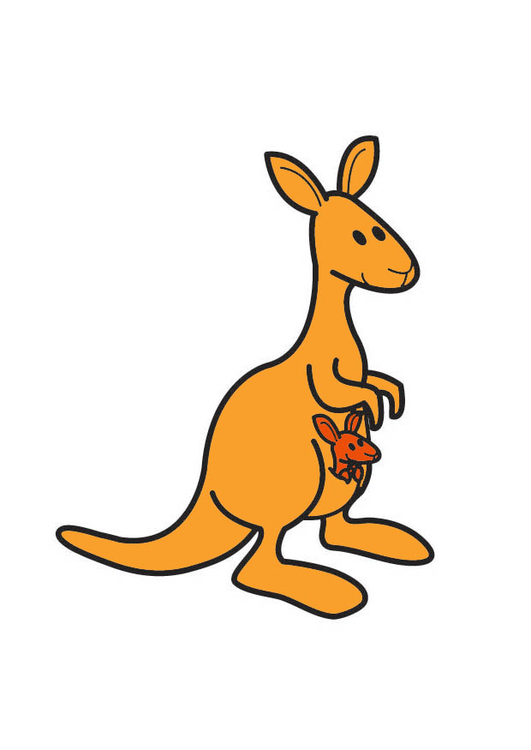 Image kangourou