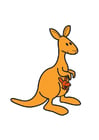 Image kangourou
