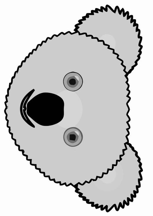 koala