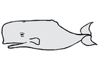 Image la baleine