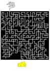 Images labyrinthe