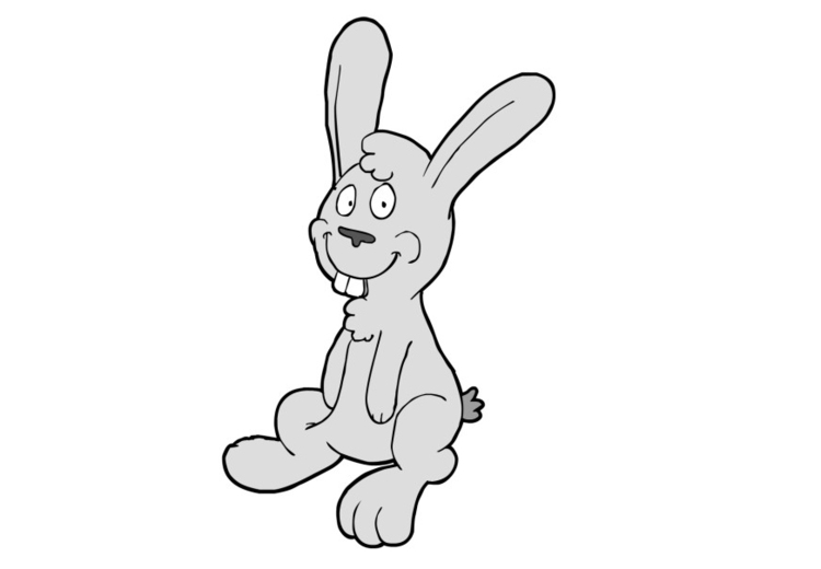 Image lapin