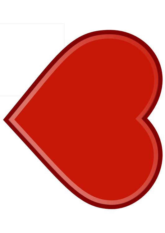 le coeur