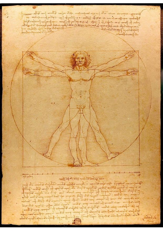 Image Leonard de Vinci - l'homme de Vitruve