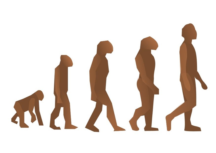 Image l'Ã©volution des humains