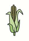 Images maïs