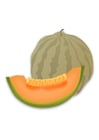 melon