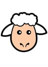 Images mouton