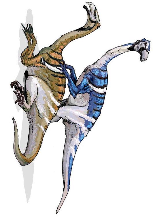 nanshiungosaurus