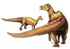 Images nipponosaurus