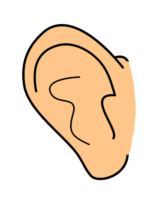 oreille Image oreille