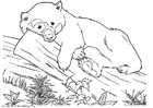Coloriage ours