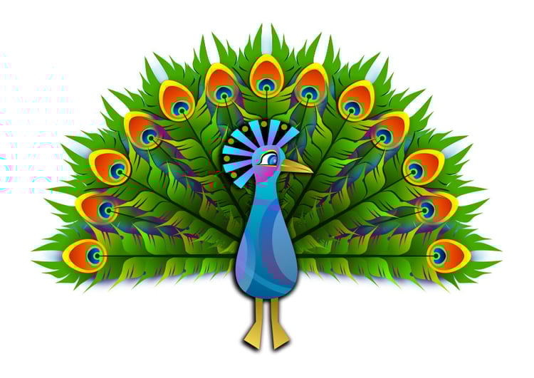 Image paon