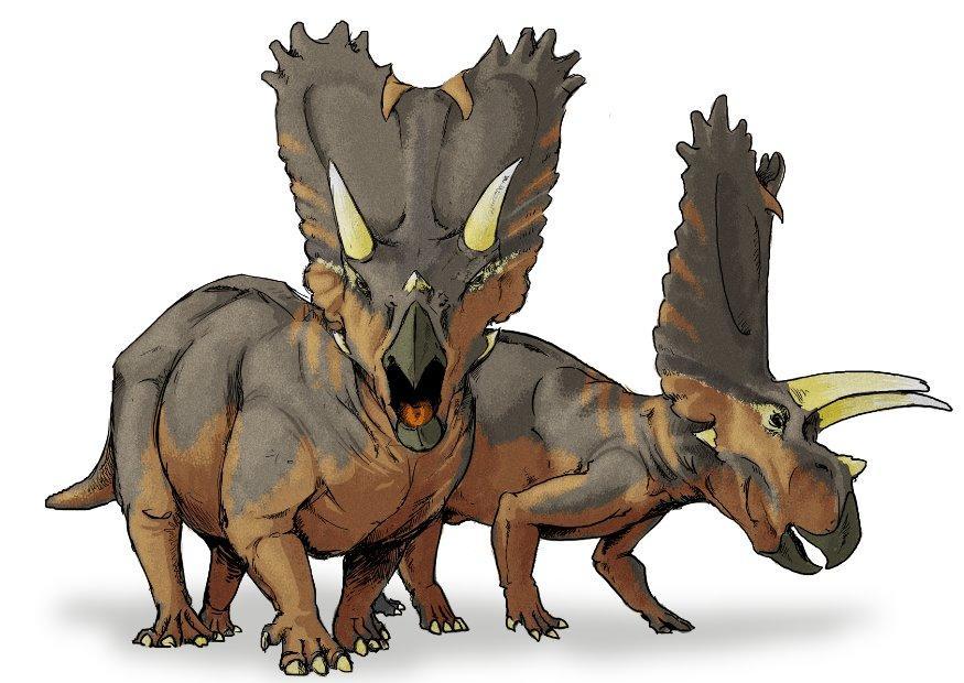 Image pentaceratops