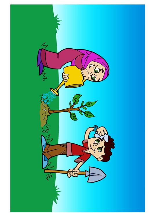 planter un arbre