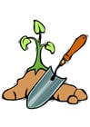 Images planter un arbre