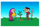 Image planter un arbre