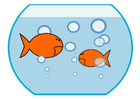 Images poisson rouge