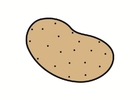 image pomme de terre