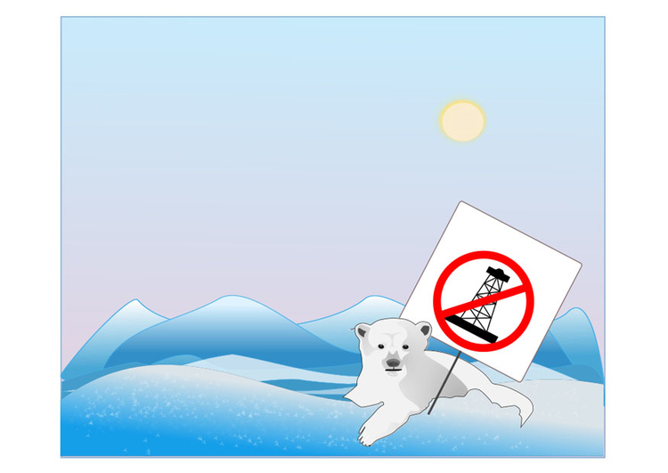 Image protection de l'ours polaire
