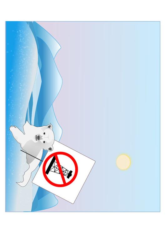 protection de l'ours polaire