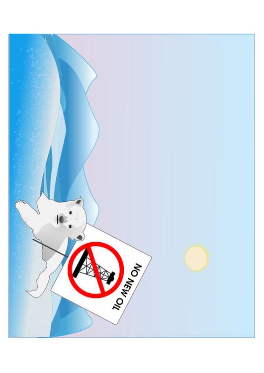 protection de l'ours polaire