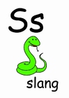 image s