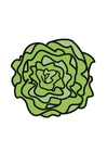 image salade