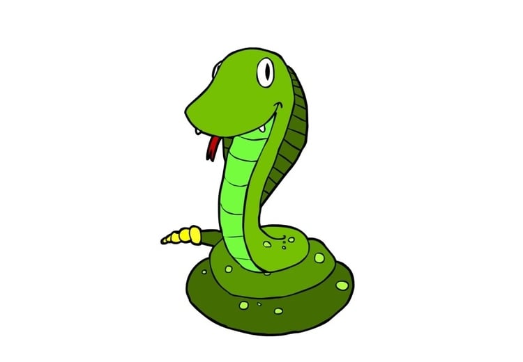 Image serpent