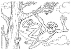 Coloriage singe